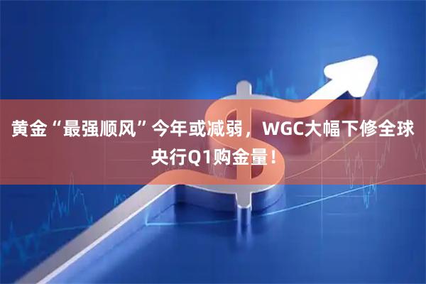 黄金“最强顺风”今年或减弱，WGC大幅下修全球央行Q1购金量！