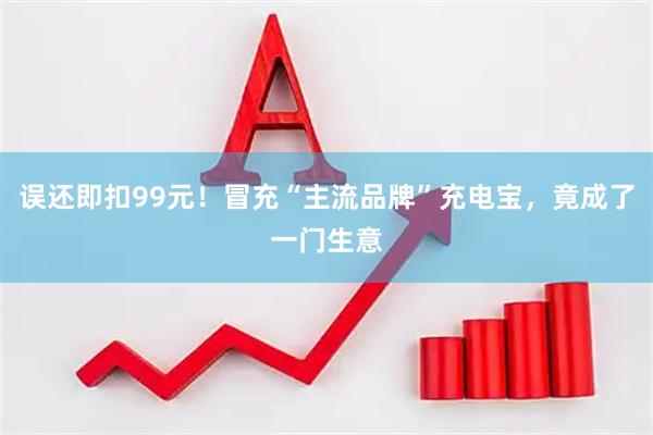 误还即扣99元！冒充“主流品牌”充电宝，竟成了一门生意