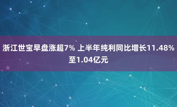 浙江世宝早盘涨超7% 上半年纯利同比增长11.48%至1.04亿元